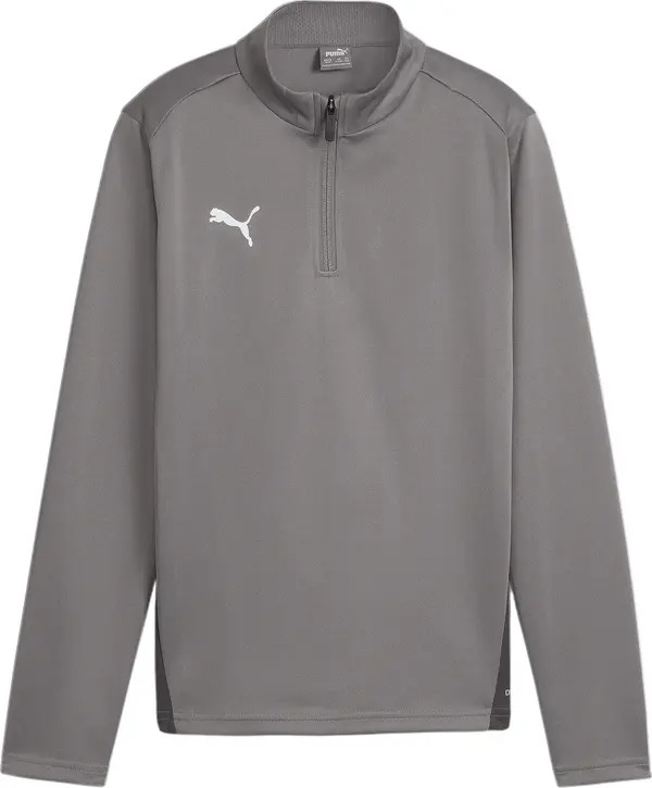 PUMA PUMA Tehnička sportska majica 'Team Goal'  siva