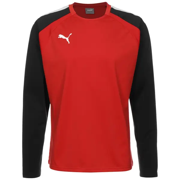 PUMA PUMA Tehnička sportska majica 'Team Liga'  crvena / crna