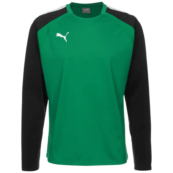 PUMA PUMA Tehnička sportska majica 'Team Liga'  zelena / crna / bijela
