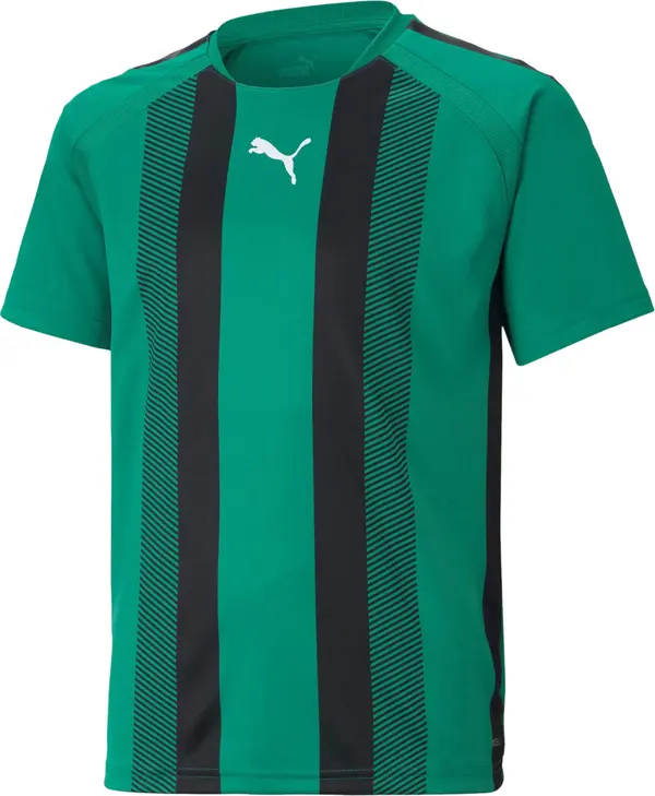 PUMA PUMA Tehnička sportska majica 'Team Liga'  zelena / crna / bijela