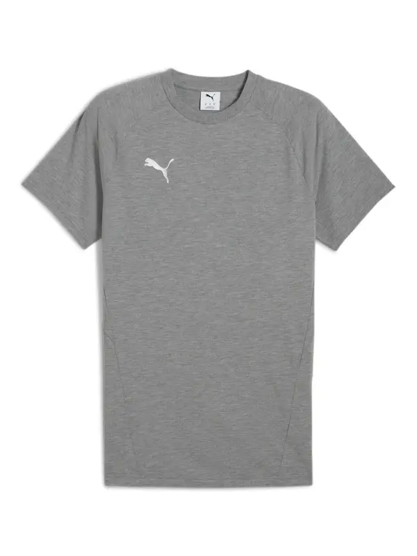 PUMA PUMA Tehnička sportska majica 'TeamEvostripe'  siva / bijela