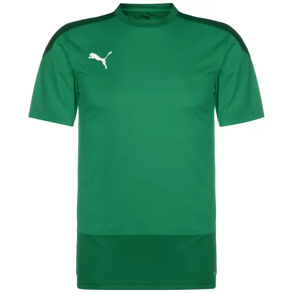 PUMA PUMA Tehnička sportska majica 'TeamGoal 23'  zelena / tamno zelena