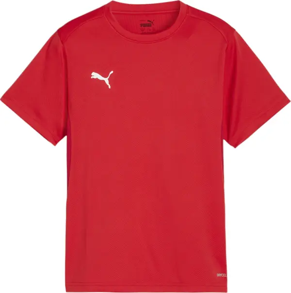 PUMA PUMA Tehnička sportska majica 'TeamGoal'  crvena / bijela