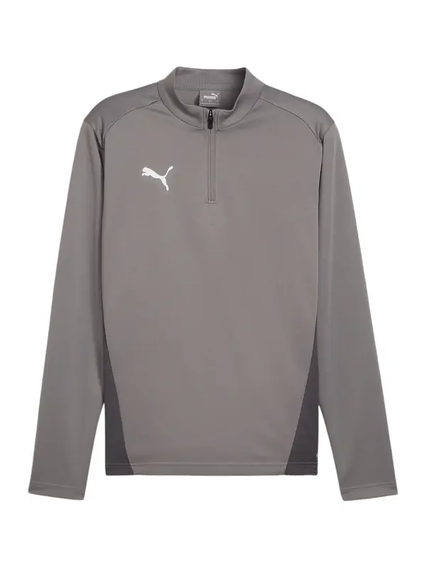 PUMA PUMA Tehnička sportska majica 'TeamGoal'  siva / grafit siva / bijela