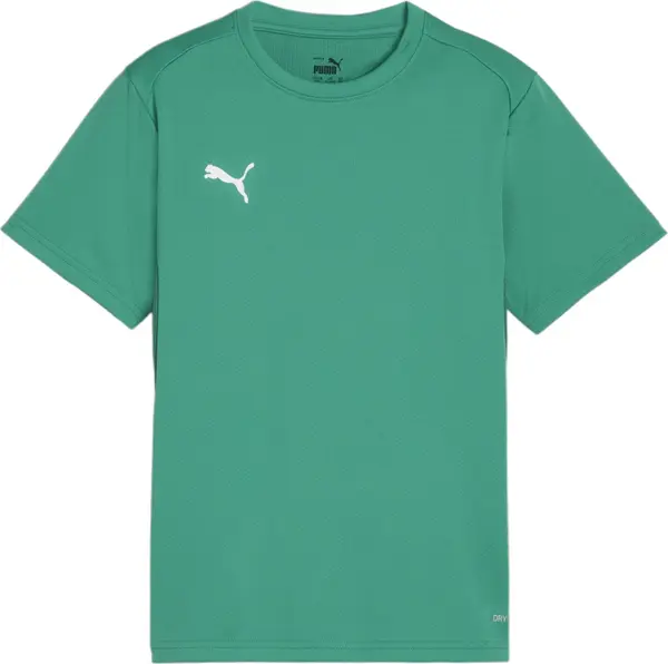 PUMA PUMA Tehnička sportska majica 'TeamGoal'  zelena / bijela