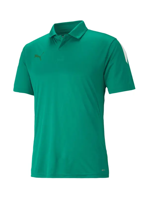 PUMA PUMA Tehnička sportska majica 'TeamLiga'  travnato zelena / tamno zelena / bijela