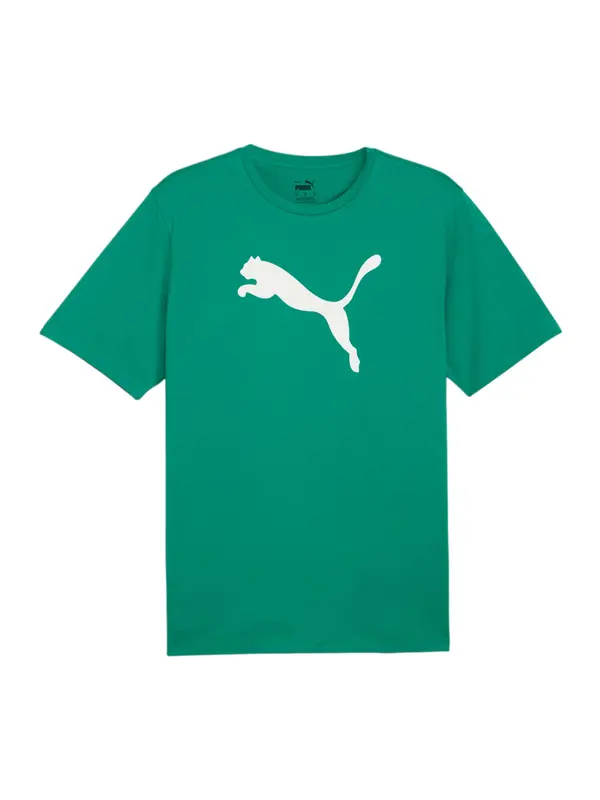 PUMA PUMA Tehnička sportska majica 'TeamRise'  zelena / bijela