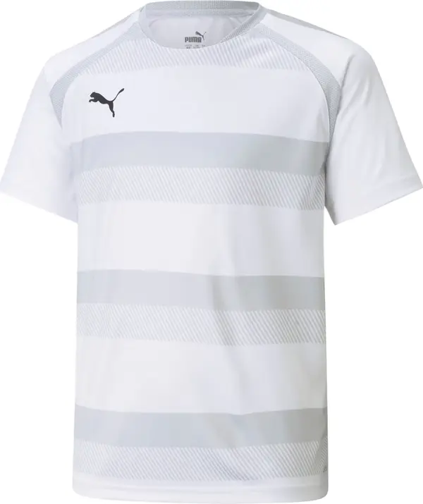PUMA PUMA Tehnička sportska majica 'TeamVision'  siva / bež siva / svijetlosiva / crna