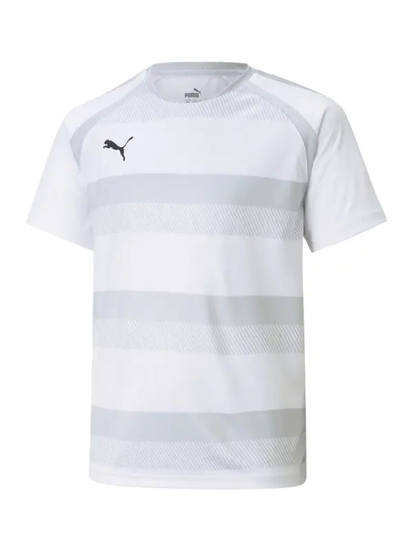 PUMA PUMA Tehnička sportska majica 'TeamVision'  siva / bež siva / svijetlosiva / crna
