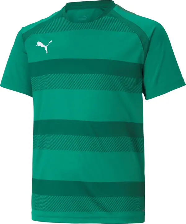 PUMA PUMA Tehnička sportska majica 'TeamVision'  zelena / tamno zelena / bijela