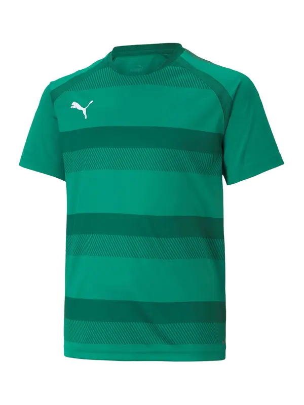 PUMA PUMA Tehnička sportska majica 'TeamVision'  zelena / tamno zelena / bijela