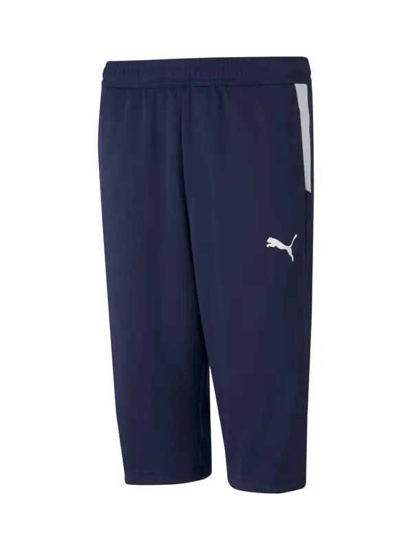 PUMA PUMA Tehničke hlače  mornarsko plava / bijela