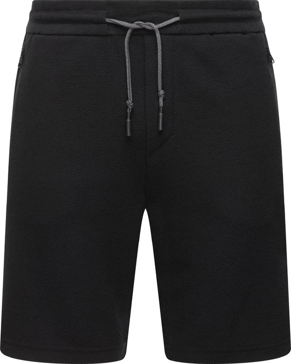 Ragwear Ragwear Hlače 'Roydy'  svijetlosiva / crna