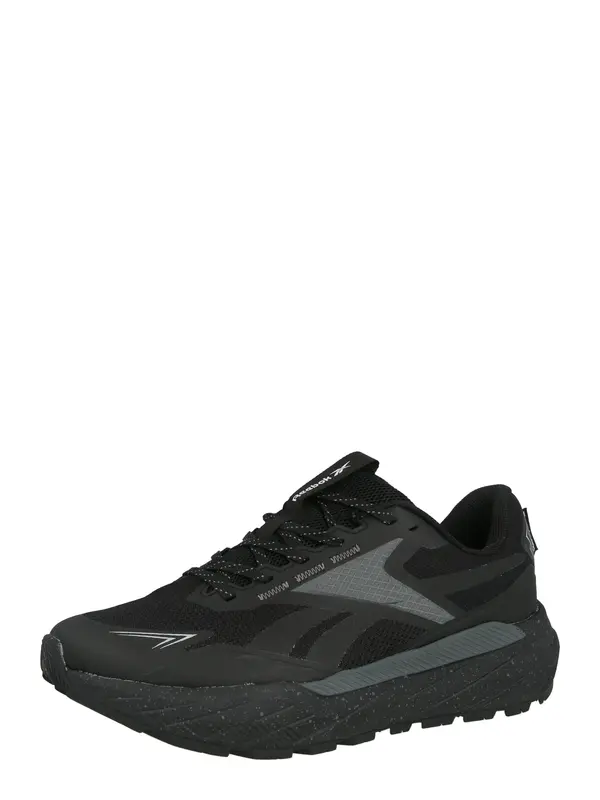 Reebok Reebok Tenisice za trčanje 'BASE TRAIL'  siva / crna