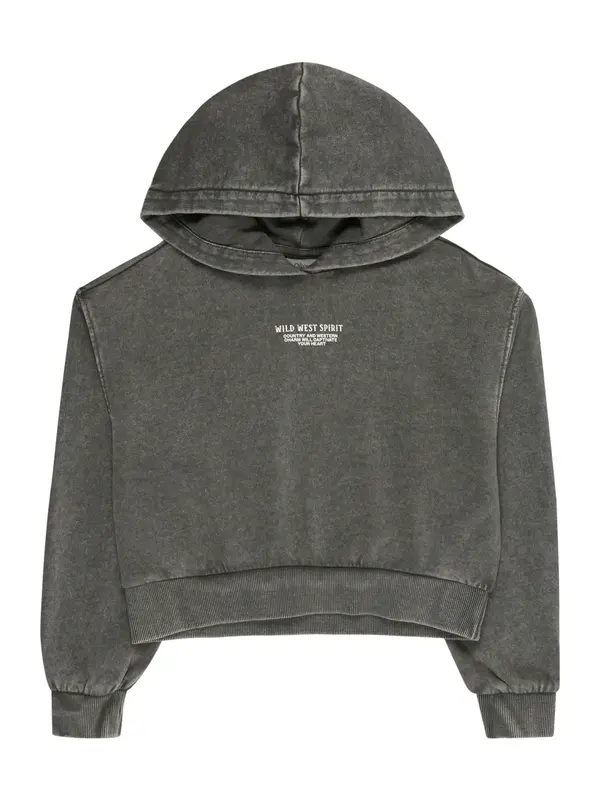 s.Oliver s.Oliver Sweater majica  siva / bijela