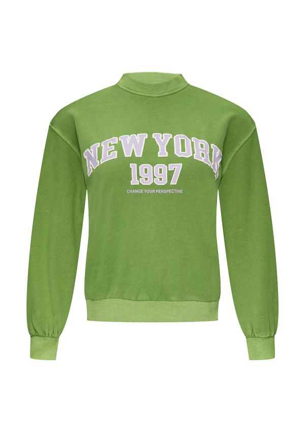 s.Oliver s.Oliver Sweater majica  svijetlozelena / ljubičasta / bijela