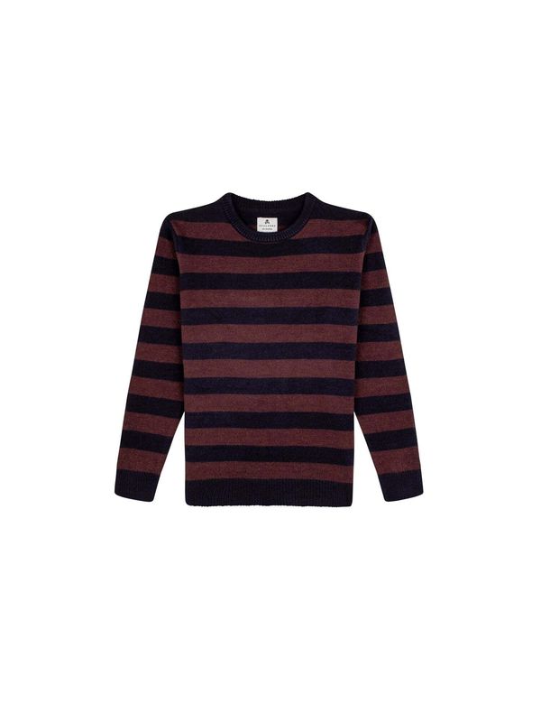 Scalpers Scalpers Pulover 'Newport'  mornarsko plava / smeđa