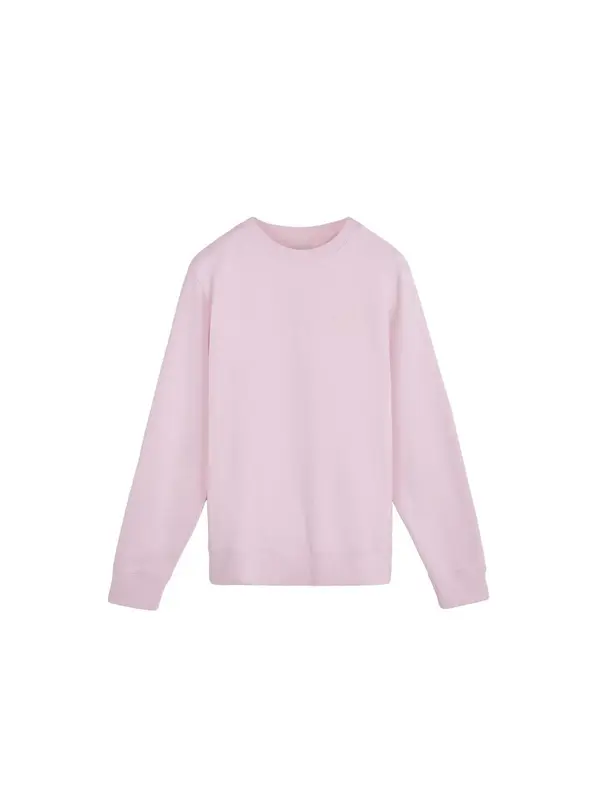 Scalpers Scalpers Sweater majica 'Antiques Flock'  sivkasto ljubičasta (mauve) / prljavo roza