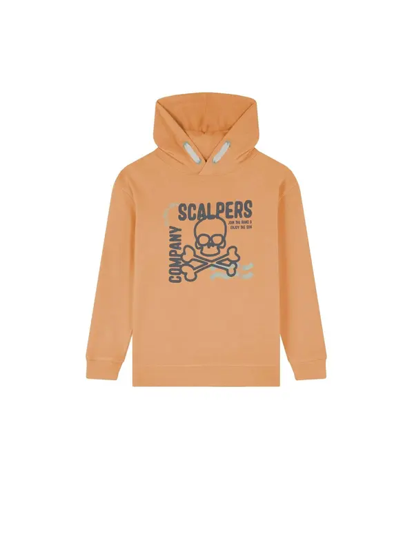 Scalpers Scalpers Sweater majica 'Stroke'  siva / tamo siva / breskva
