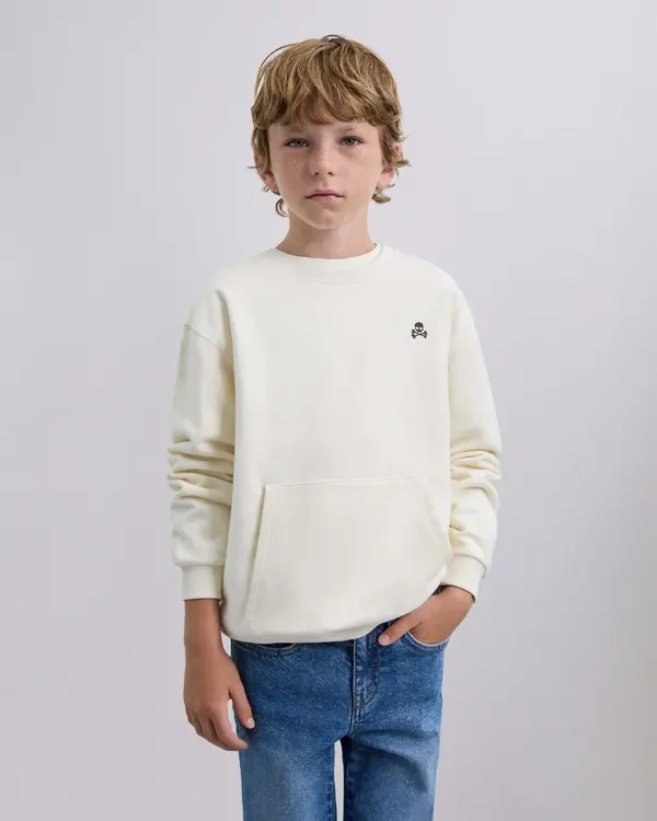 Scalpers Scalpers Sweater majica 'Tiger'  sivkasto ljubičasta (mauve) / narančasta / crna / bijela