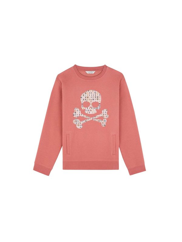 Scalpers Scalpers Sweater majica 'Type Skull'  miks boja / crvena