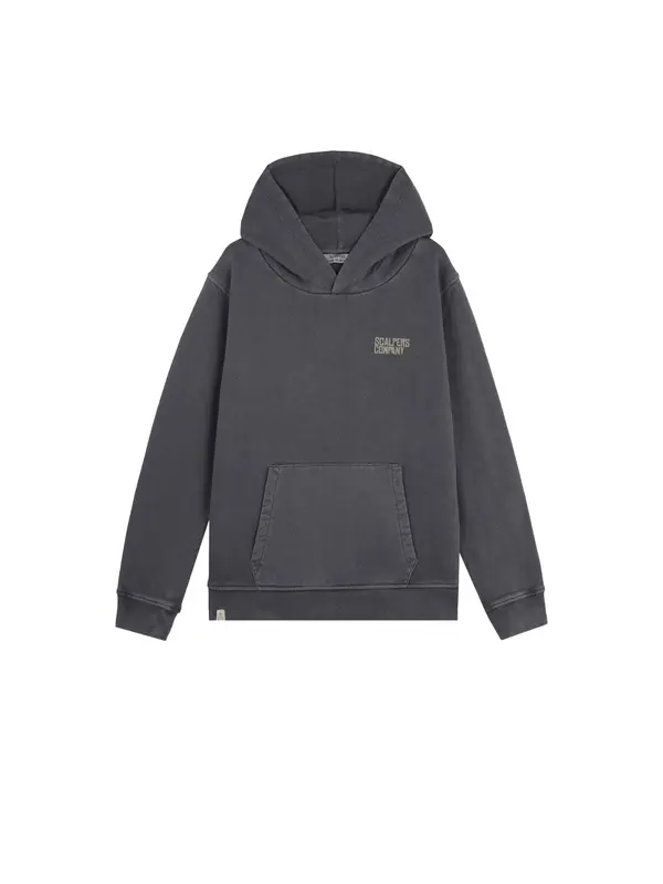 Scalpers Scalpers Sweater majica 'Typeskull'  grafit siva / bež siva