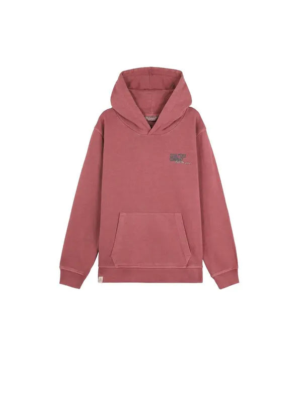 Scalpers Scalpers Sweater majica 'Typeskull'  siva / tamo siva / burgund