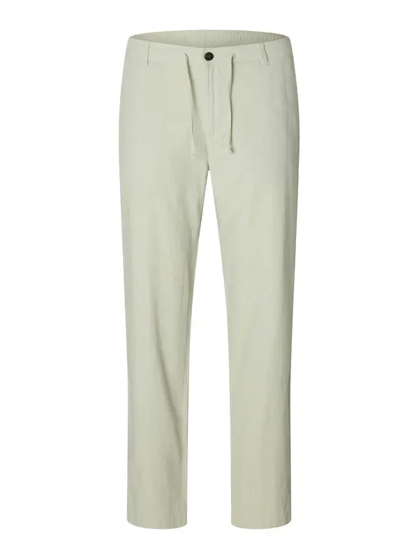 SELECTED SELECTED Chino hlače 'SLHBRODY'  menta