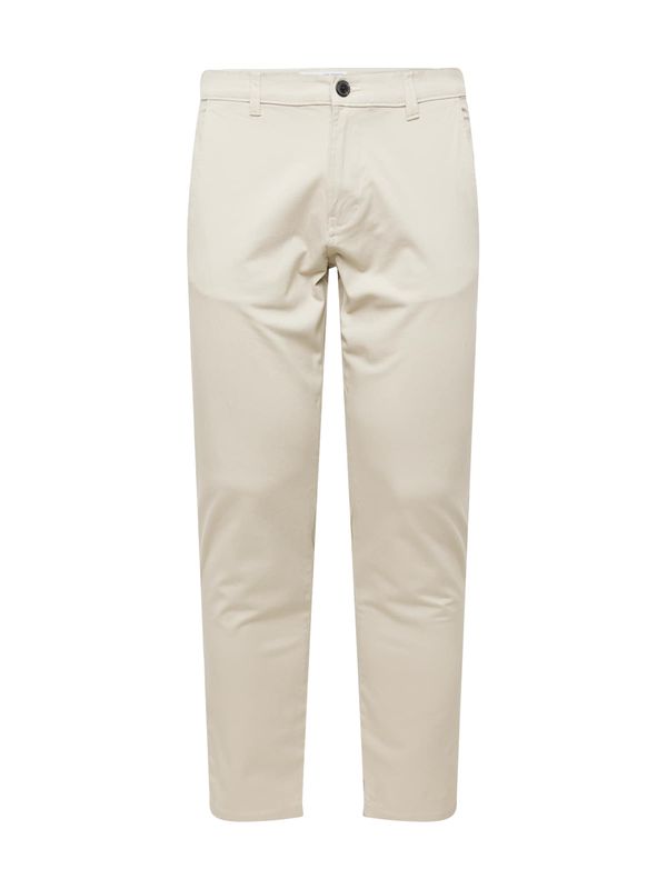SELECTED HOMME SELECTED HOMME Chino hlače 'DAN'  srebrno siva