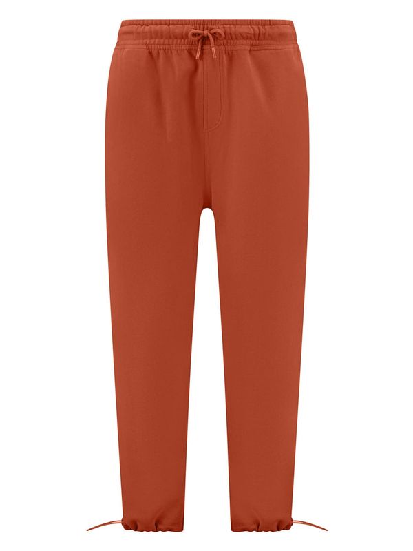 Shiwi Shiwi Hlače  kestenjasto smeđa