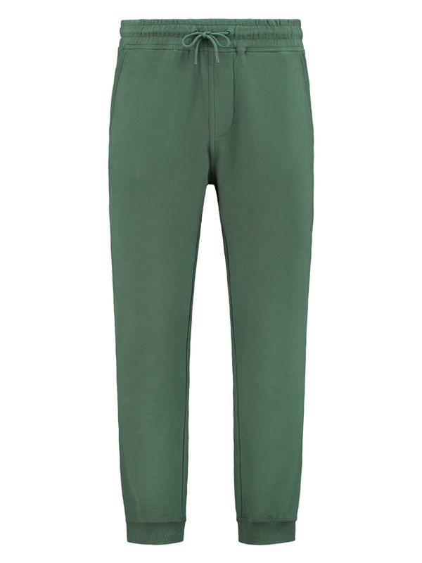 Shiwi Shiwi Hlače  tamno zelena