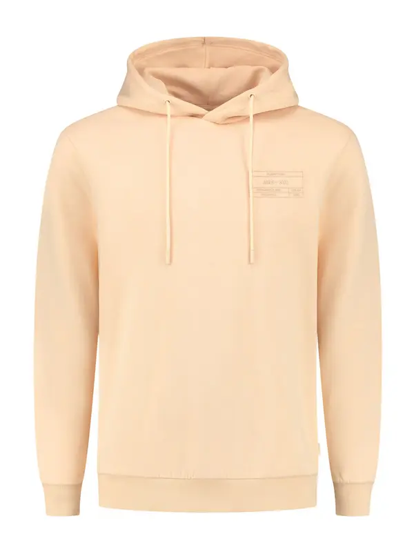 Shiwi Shiwi Sweater majica 'Flight Plan'  marelica