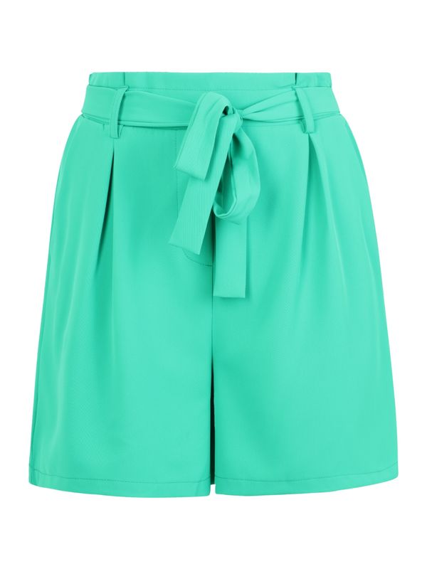 SISTERS POINT SISTERS POINT Hlače s naborima 'VAGNA'  zelena
