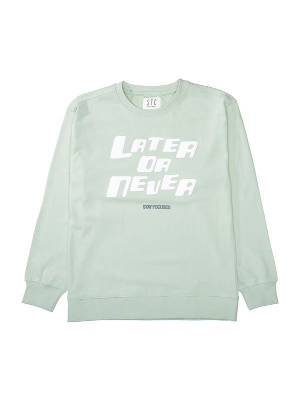 STACCATO STACCATO Sweater majica  pastelno zelena / tamno zelena / bijela