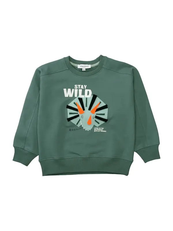 STACCATO STACCATO Sweater majica  smaragdno zelena / menta / neonsko narančasta / bijela