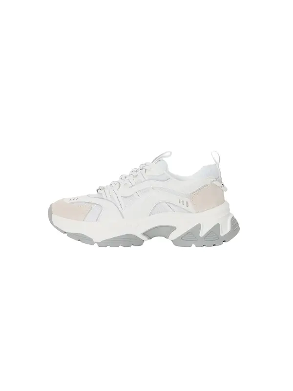 STEVE MADDEN STEVE MADDEN Niske tenisice 'Animates-E'  ecru/prljavo bijela / siva / bijela
