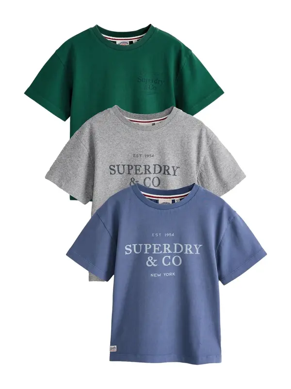 Superdry & Co Superdry & Co Majica  plava / siva / tamno zelena