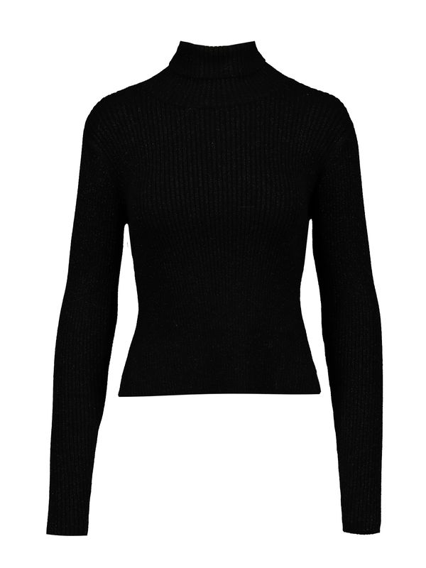 Tally Weijl Tally Weijl Pulover  crna / srebro