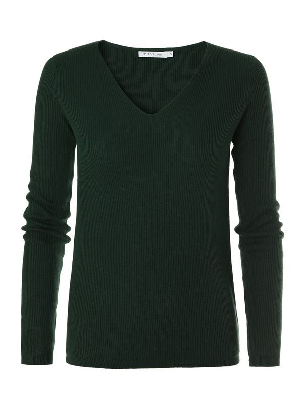TATUUM TATUUM Pulover 'SPALKA'  tamno zelena