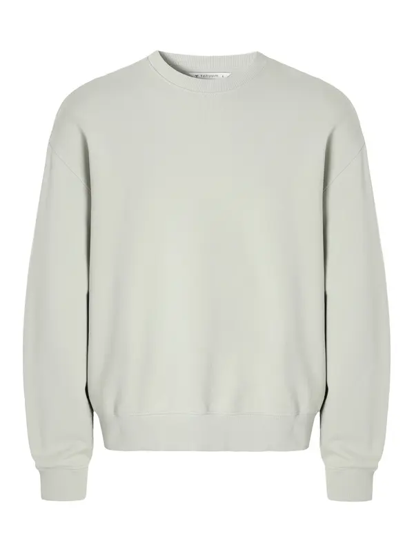 TATUUM TATUUM Sweater majica  maslinasta / pastelno zelena / svijetlozelena