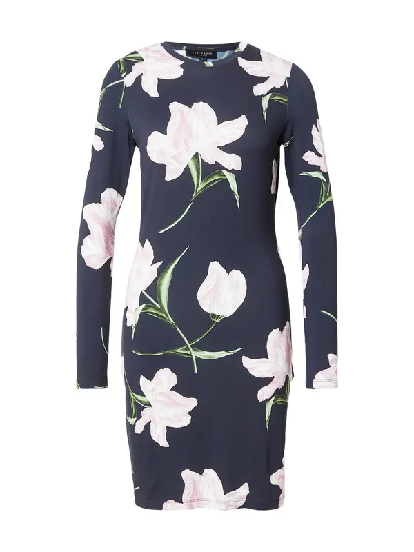 Ted Baker Ted Baker Haljina 'BAAFNEE'  mornarsko plava / travnato zelena / roza / bijela