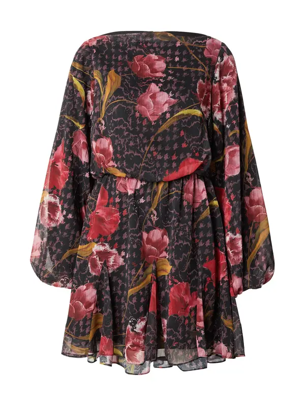 Ted Baker Ted Baker Haljina 'ENDRINA'  maslinasta / prljavo roza / klasično crvena / crna