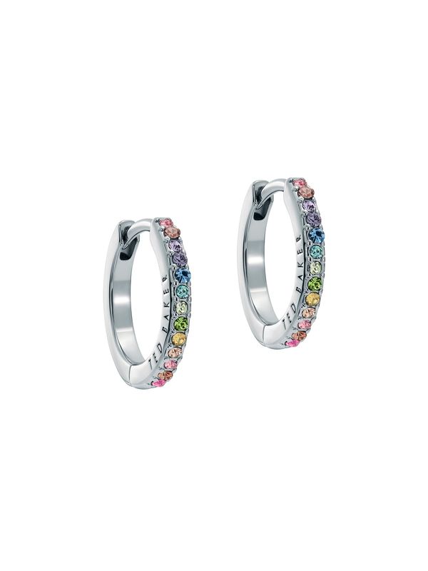 Ted Baker Ted Baker Naušnice  plava / zelena / roza / srebro