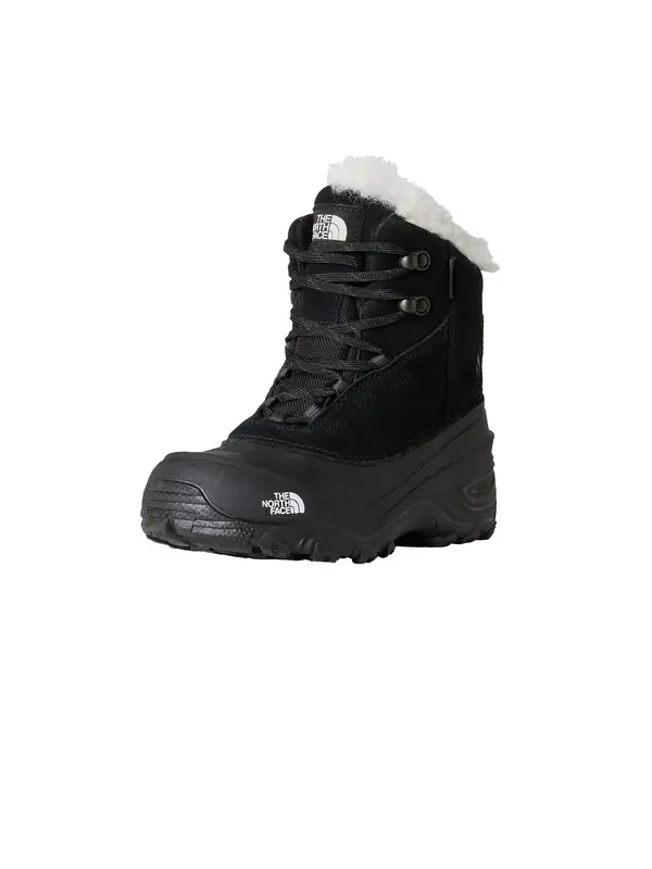 THE NORTH FACE THE NORTH FACE Ležerne čizme 'Shellista V'  crna