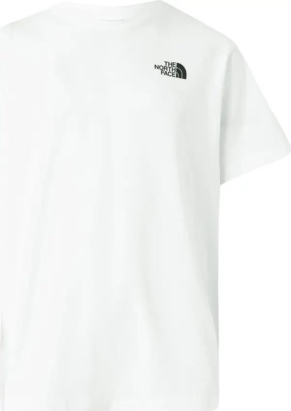 THE NORTH FACE THE NORTH FACE Majica  tamo siva / narančasta / crna / bijela