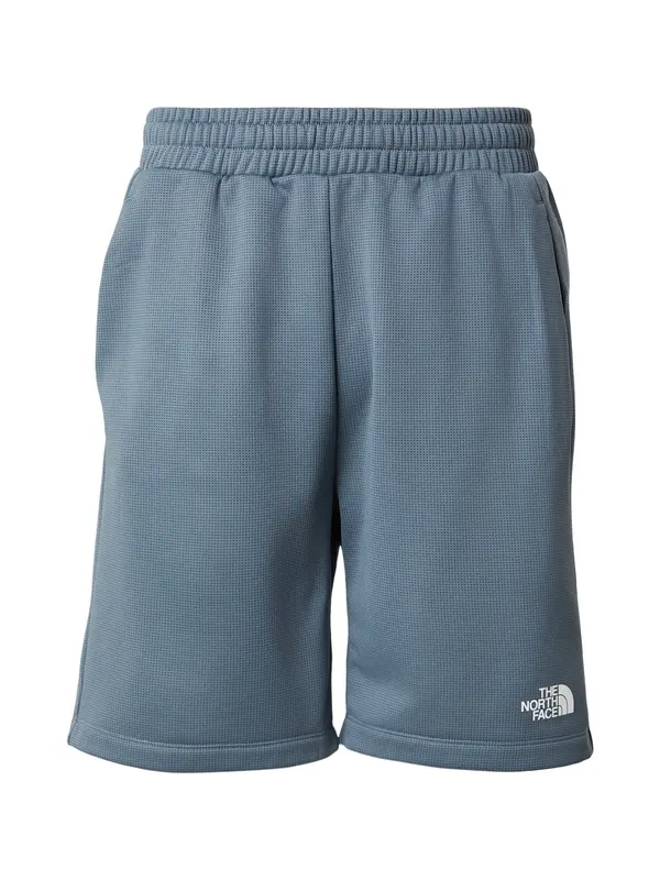 THE NORTH FACE THE NORTH FACE Sportske hlače 'REAXION 2.0'  siva / bijela