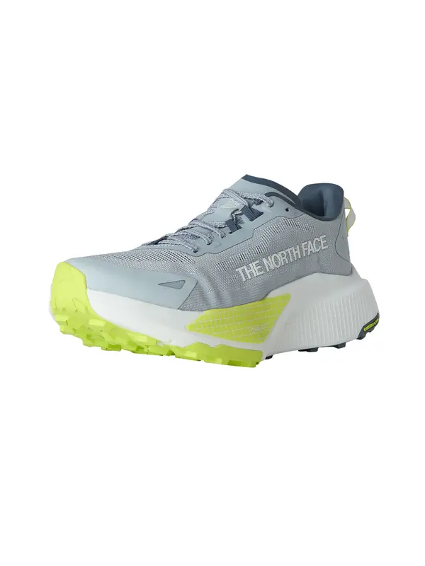 THE NORTH FACE THE NORTH FACE Tenisice za trčanje 'Altamesa 500 V2'  siva