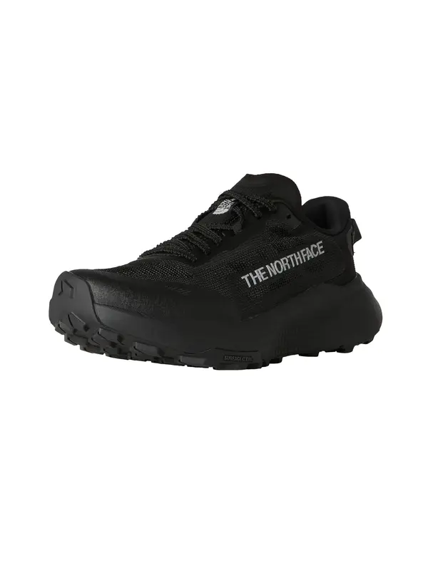 THE NORTH FACE THE NORTH FACE Tenisice za trčanje 'W Altamesa 300 V2'  siva / crna
