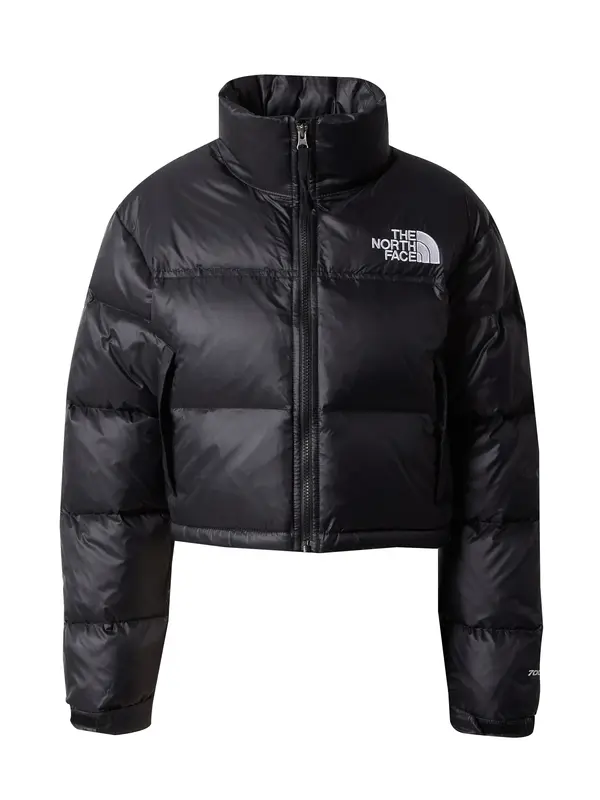 THE NORTH FACE THE NORTH FACE Zimska jakna 'Nuptse'  crna / srebro