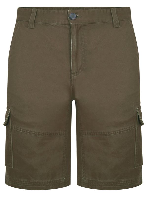 Threadbare Threadbare Hlače 'Hydro'  maslinasta